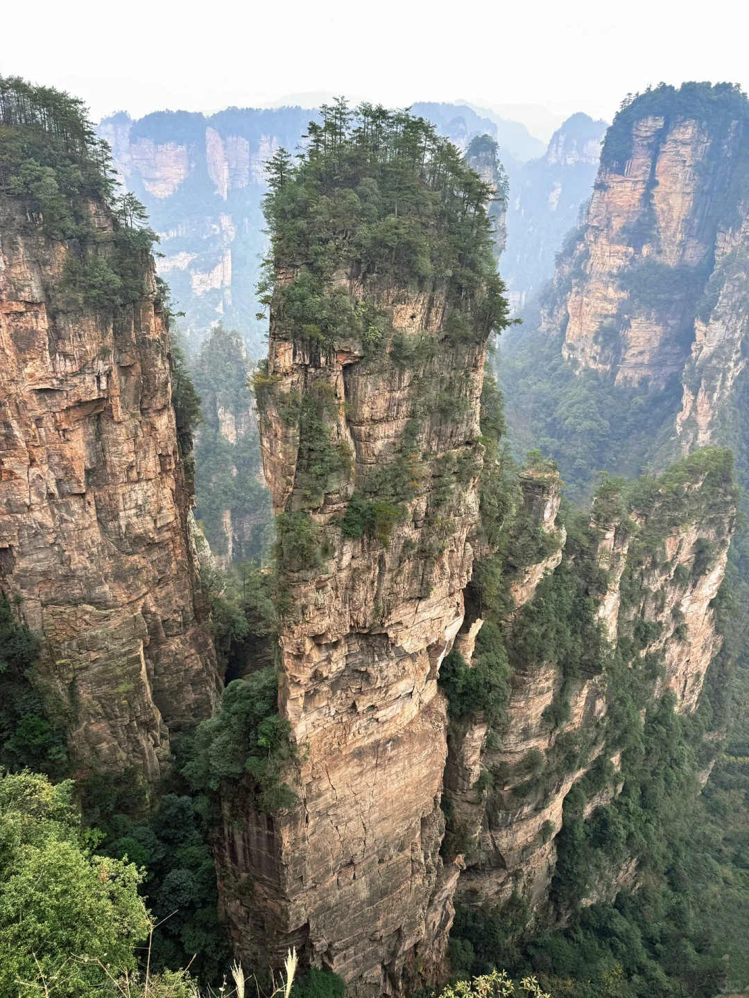 张家界怎么玩？教科书级别攻略