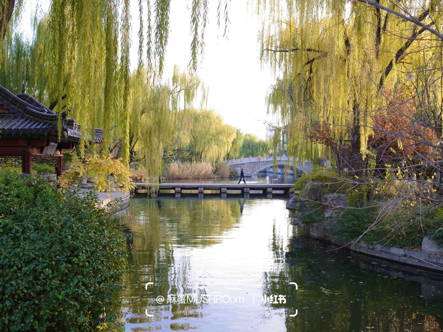 济南漫游收录｜冬日大明湖超出片🍂🍃