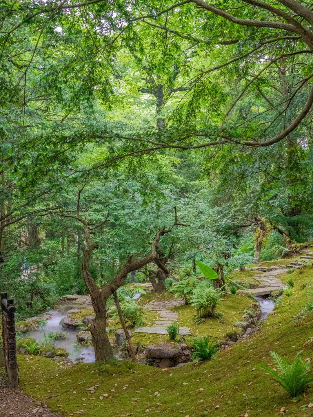 被《国家地理》评为中国最美古村，夏天有多绝