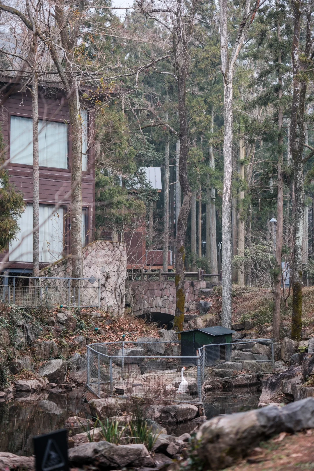 宁波，自然谧境，心归森野✧*｡🌳🌳🌳