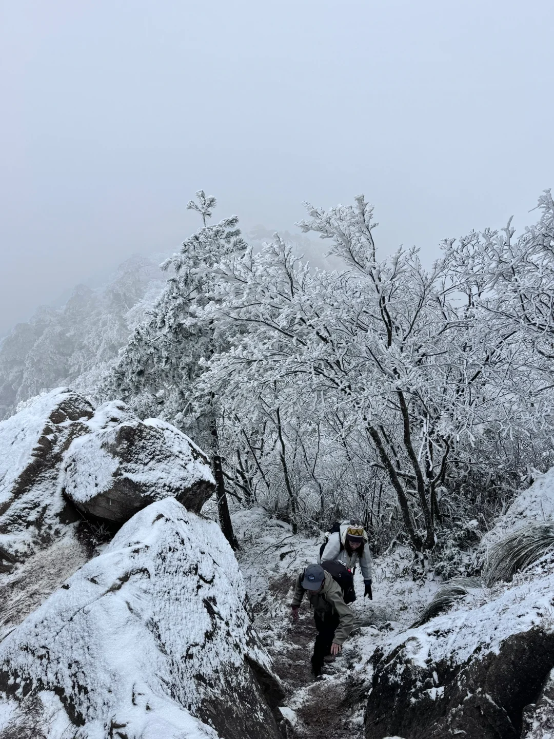 龙王山我又回来了