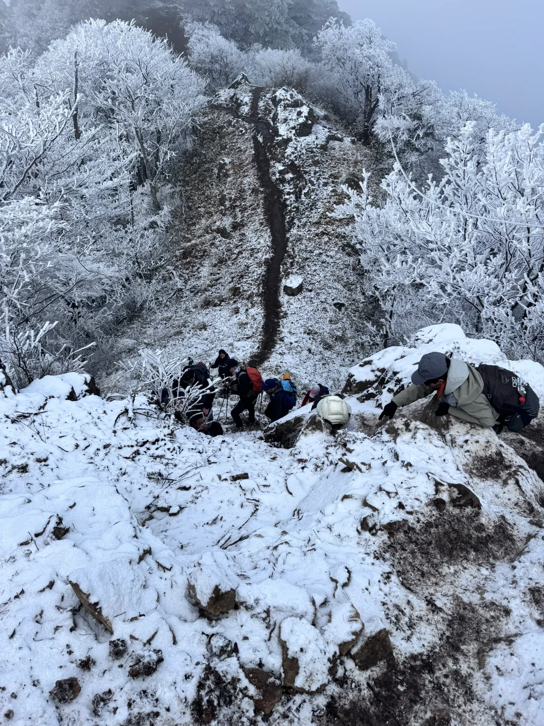 龙王山我又回来了