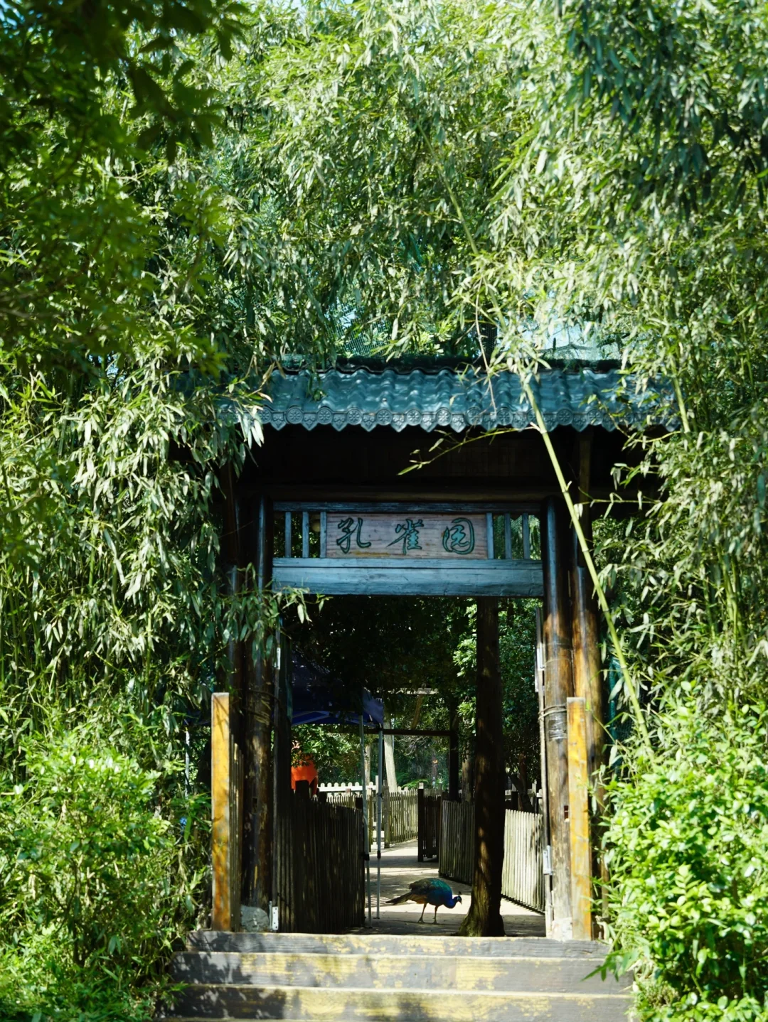 南昌1h直达🚗闯入江西版的马尔代夫群岛