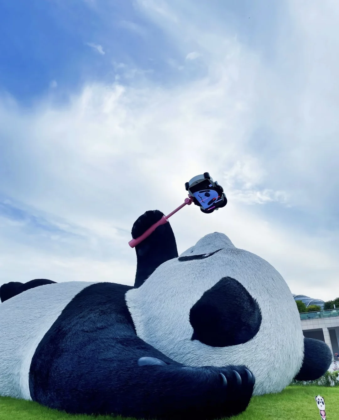 听劝❗️千万别直接去都江堰和熊猫谷