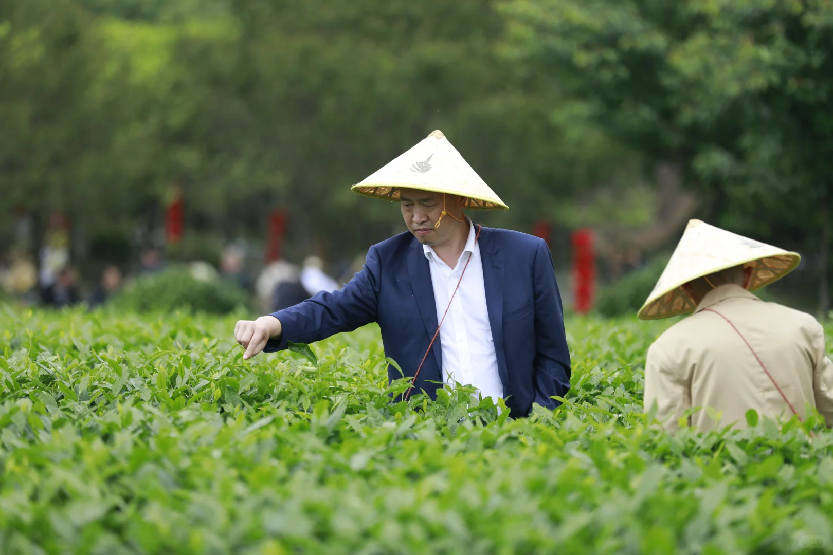 遵义湄潭茶海：拓展新天地，团队共成长