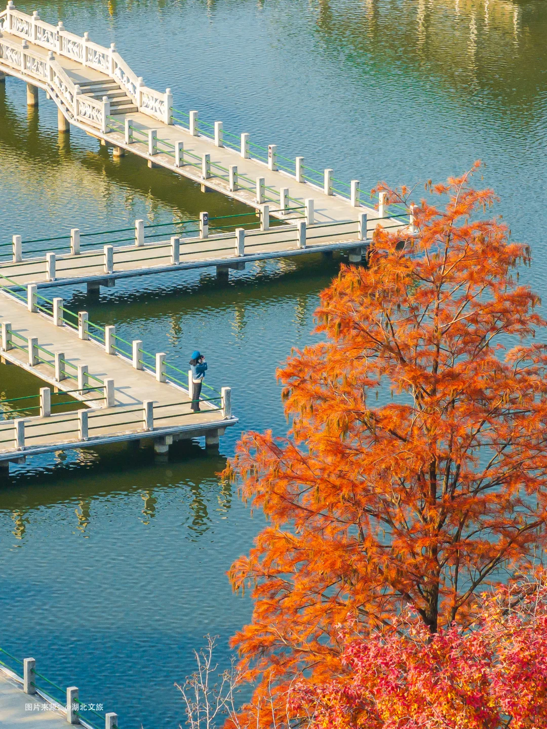 不是照骗❗️12月的武汉东湖美得不像话‼️