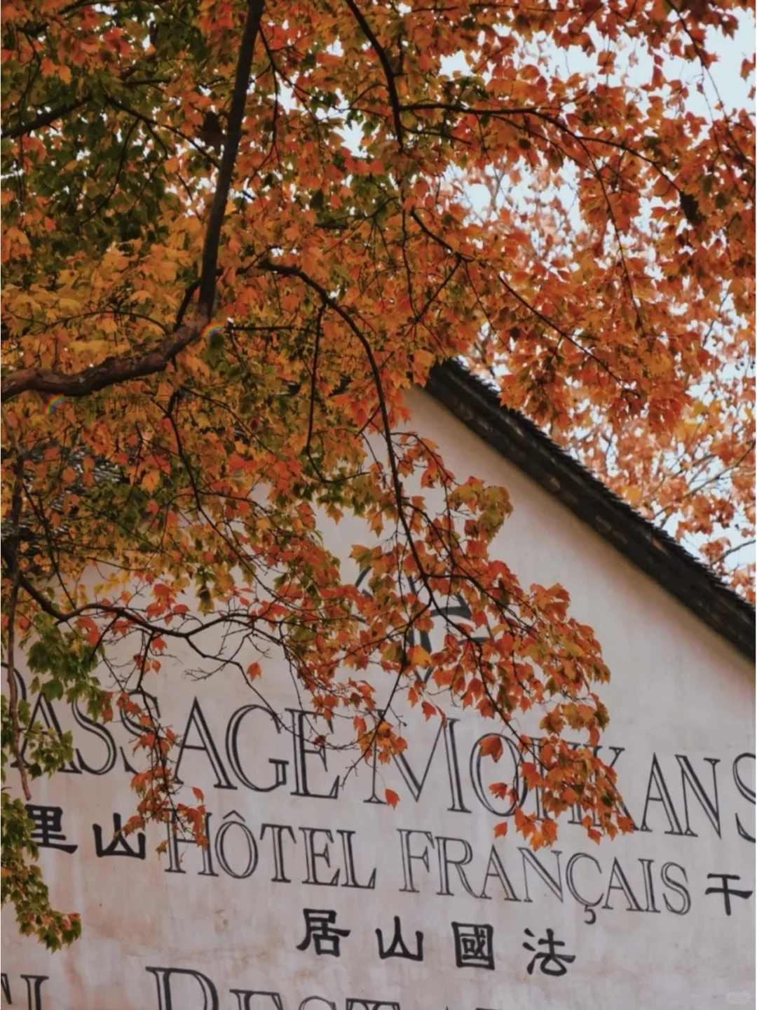 终于找全了莫干山两日游最美秋色打卡点❗