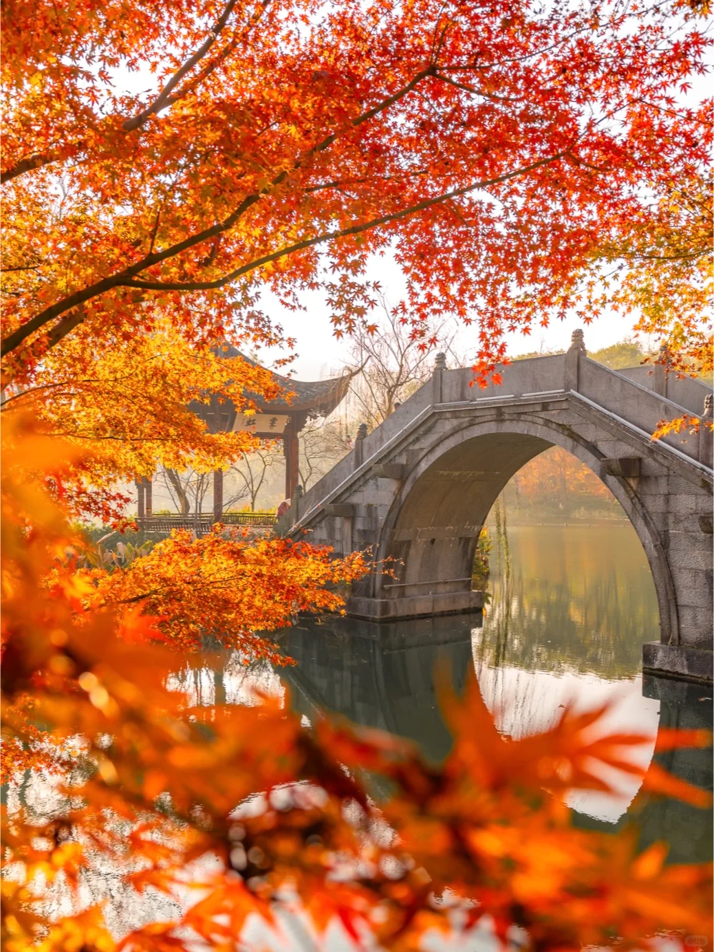紧邻西湖‼️本地人都爱逛的小众赏秋公园!🍁