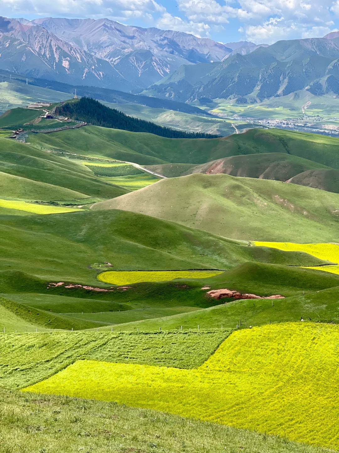 免费的才封神啊‼️青甘线的冷门景点卓尔后山
