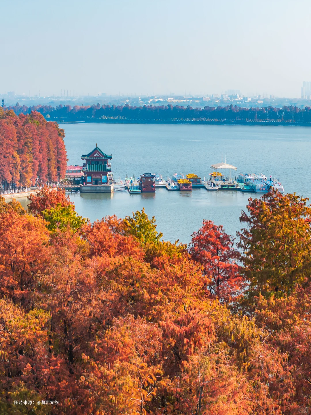 不是照骗❗️12月的武汉东湖美得不像话‼️