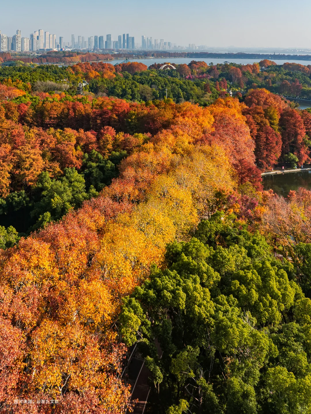 不是照骗❗️12月的武汉东湖美得不像话‼️