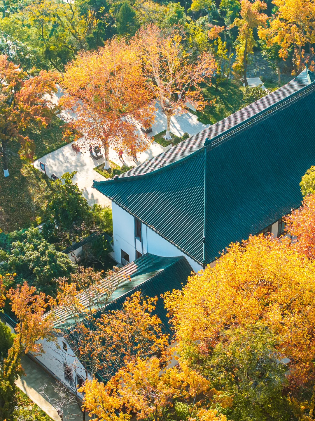 不是照骗❗️12月的武汉东湖美得不像话‼️