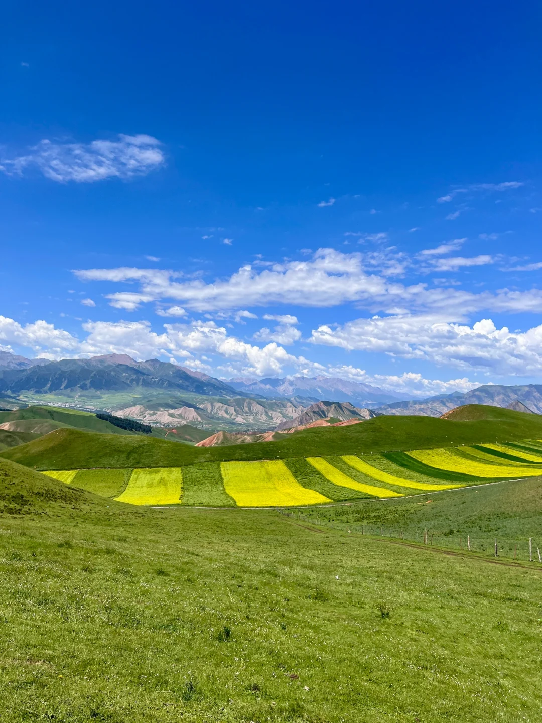 免费的才封神啊‼️青甘线的冷门景点卓尔后山