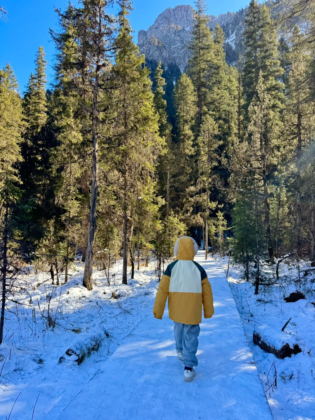新路线‼️西安2天1夜🏔️北欧雪山森林度周末！