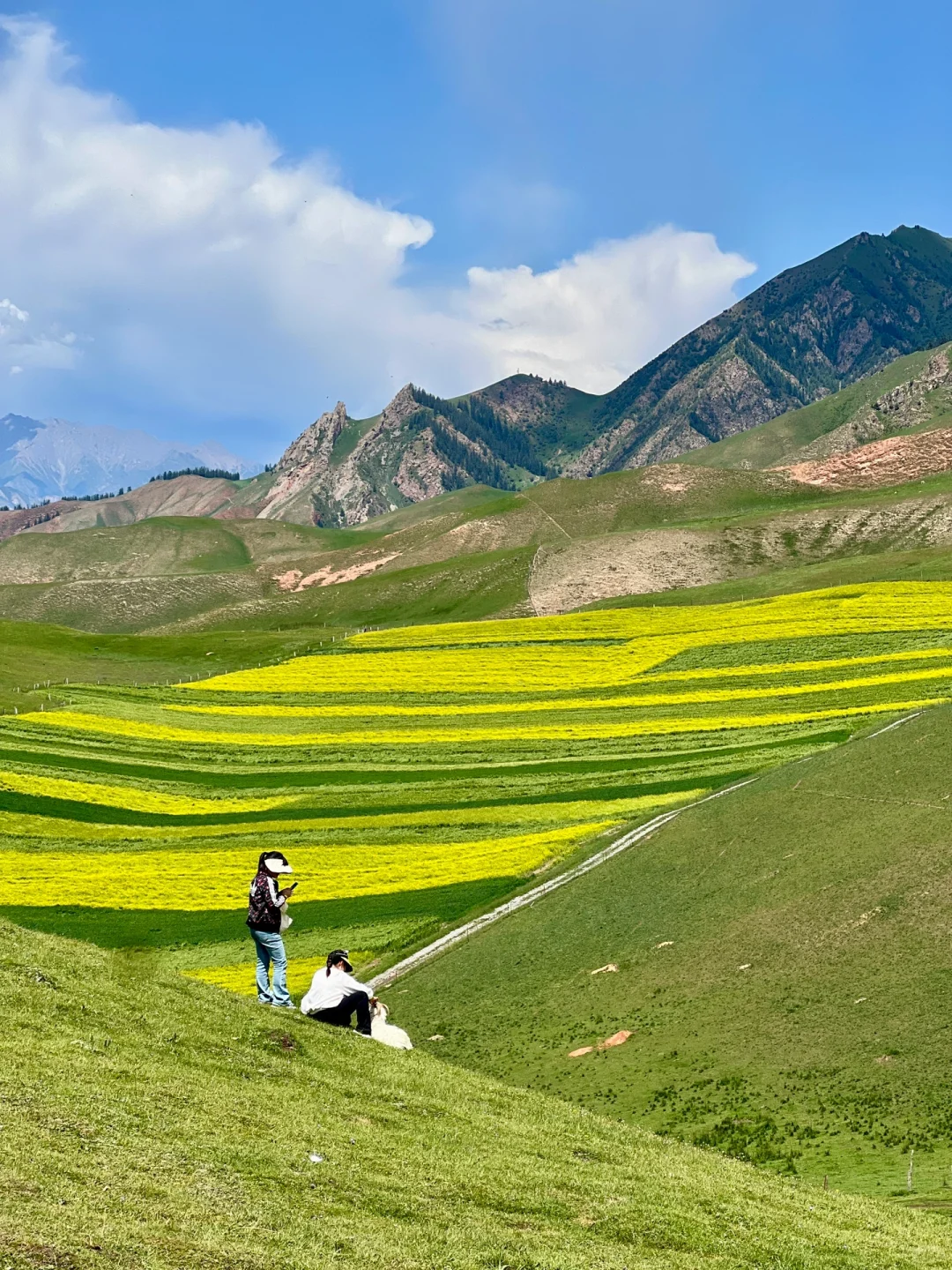 免费的才封神啊‼️青甘线的冷门景点卓尔后山