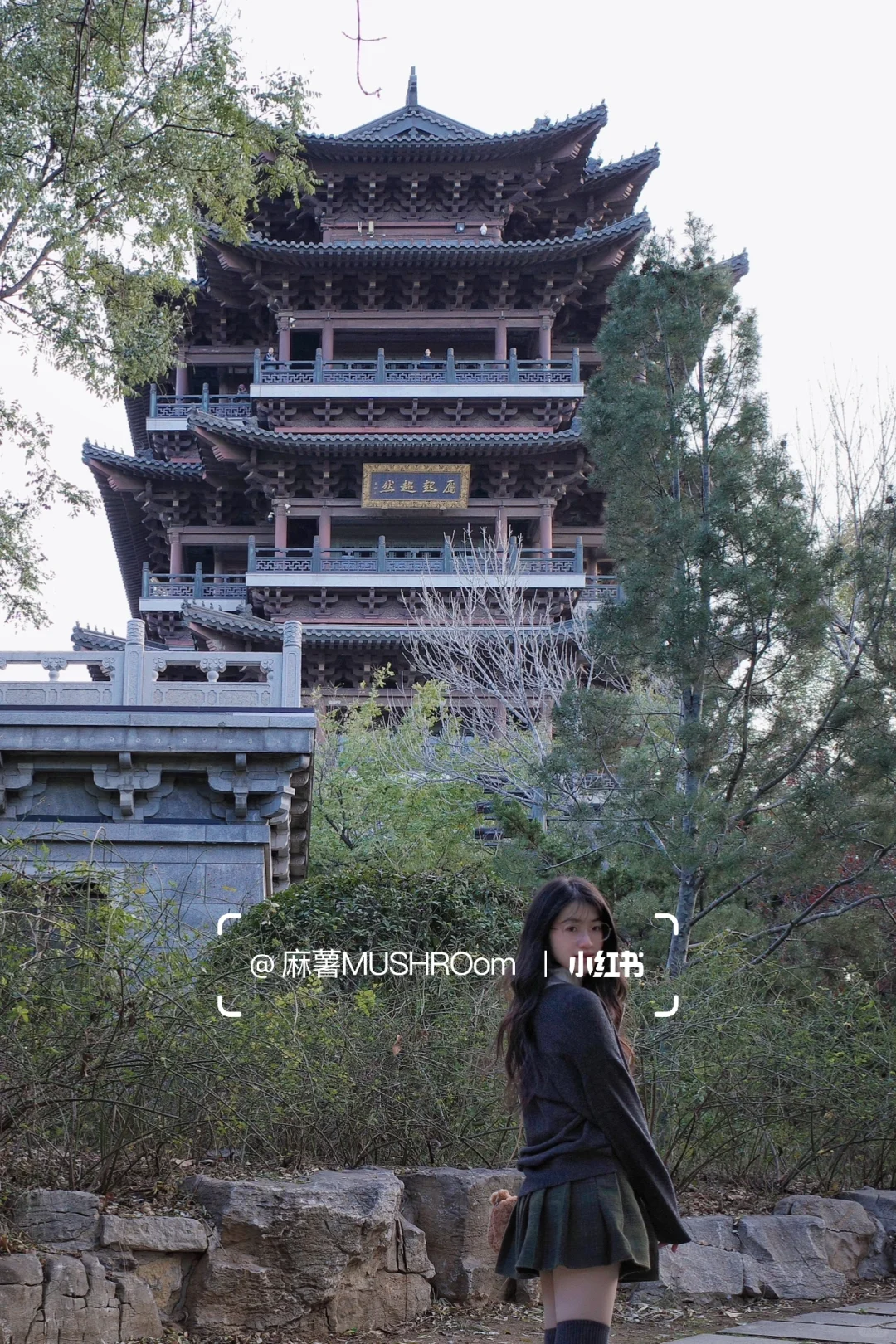 济南漫游收录｜冬日大明湖超出片🍂🍃