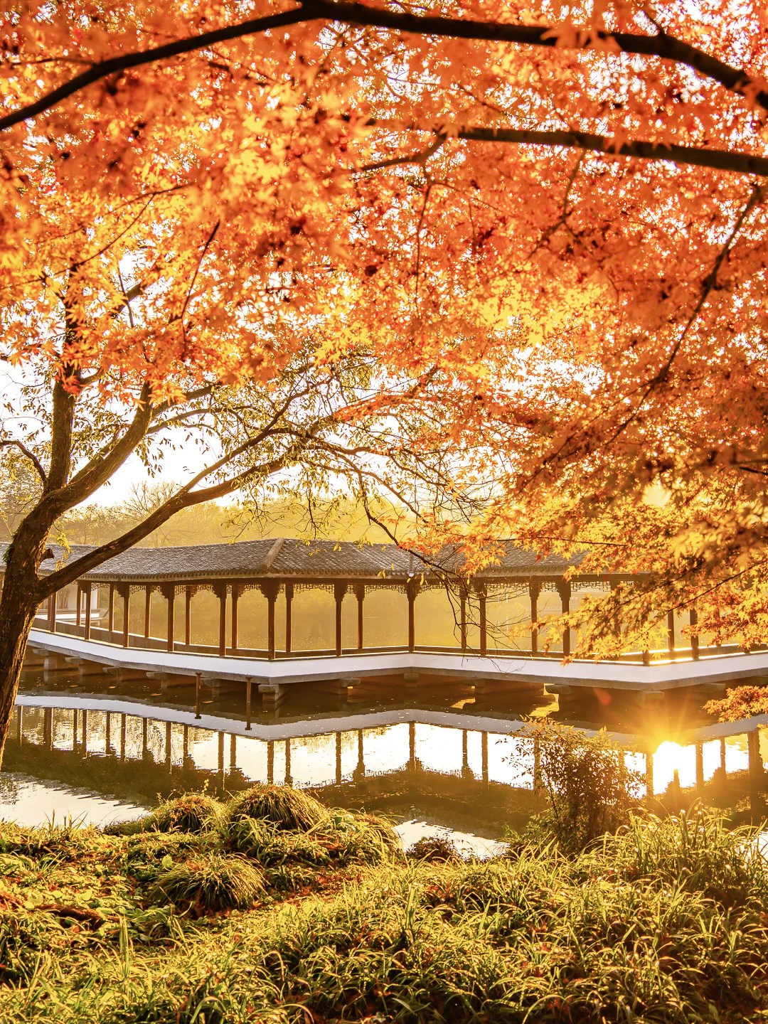 紧邻西湖‼️本地人都爱逛的小众赏秋公园!🍁