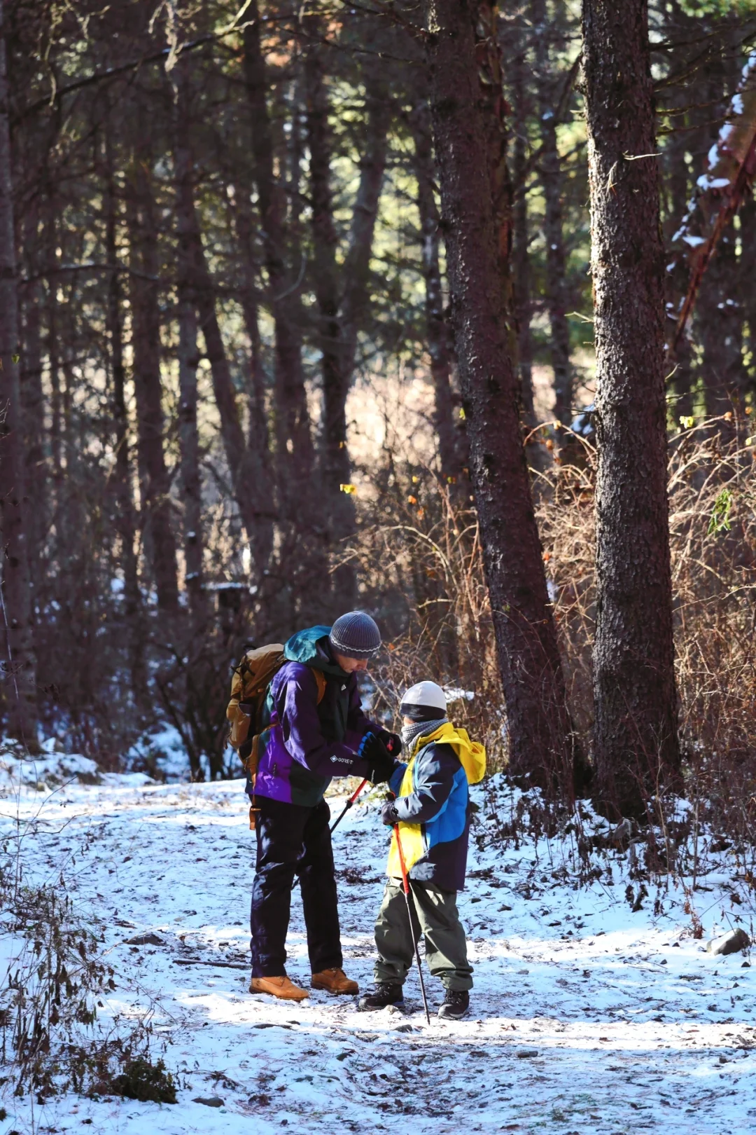 当日往返‼️成都周边🆓童话雪世界❄️附live图