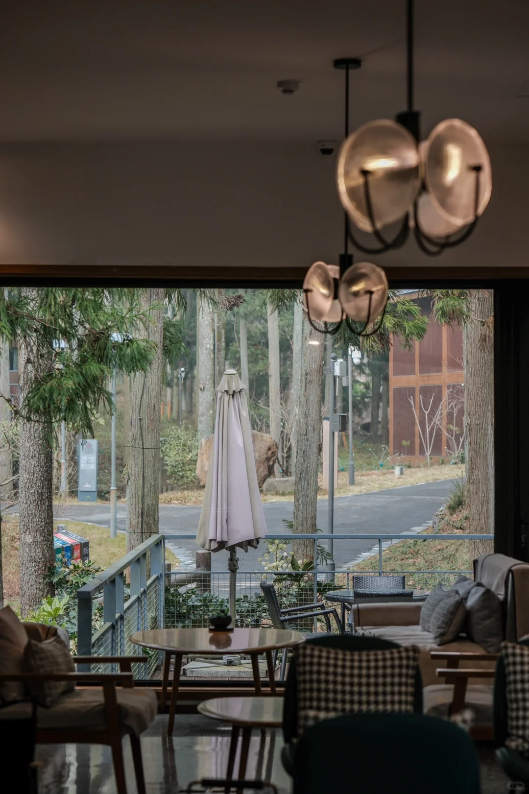 宁波，自然谧境，心归森野✧*｡🌳🌳🌳