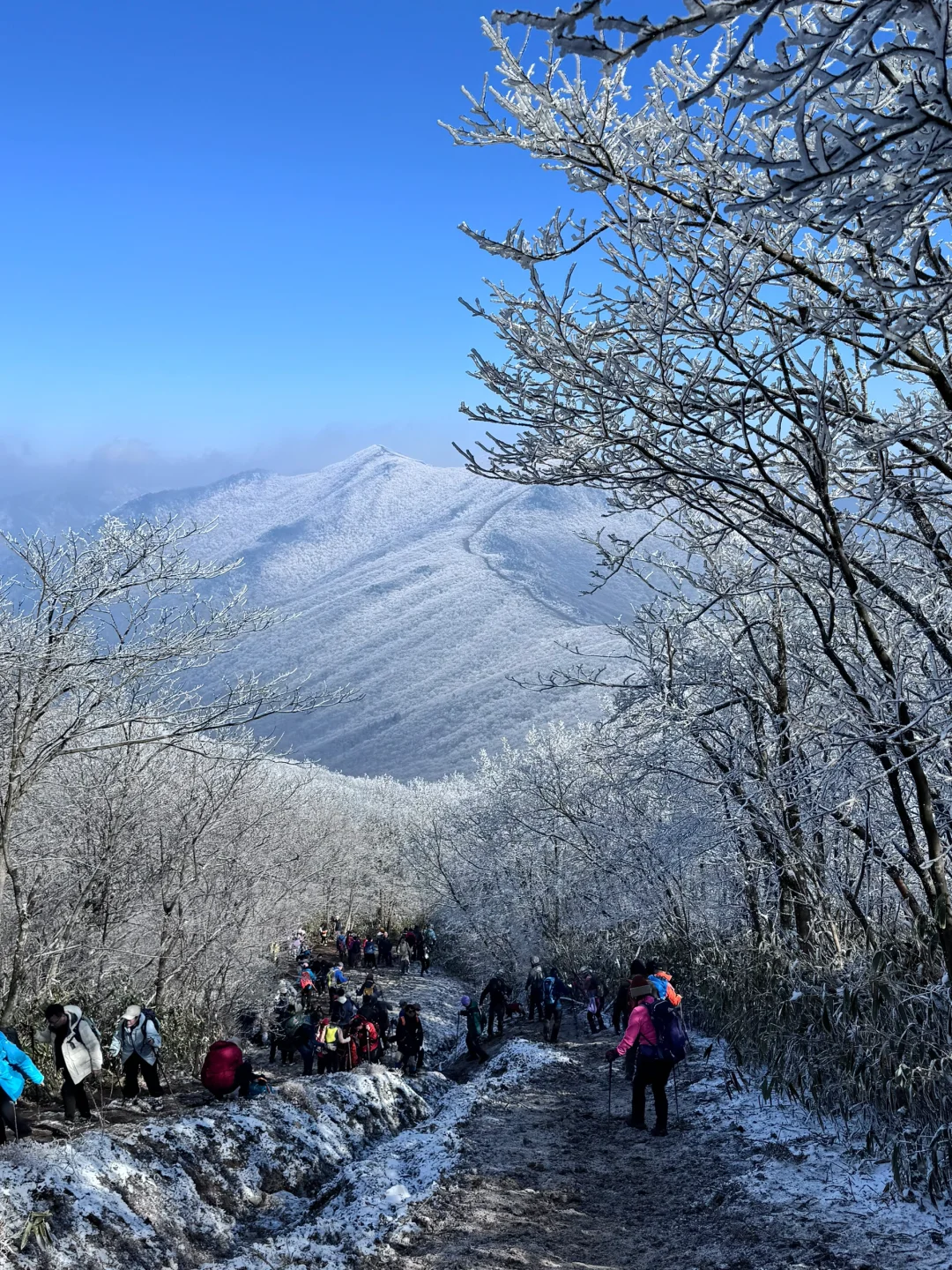 龙王山我又回来了