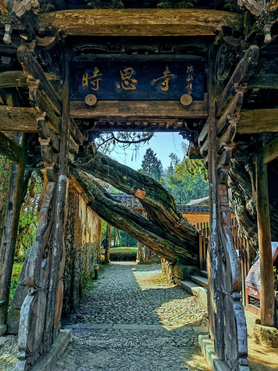 一秒穿越回千年前,我心中浙江最美的古建!