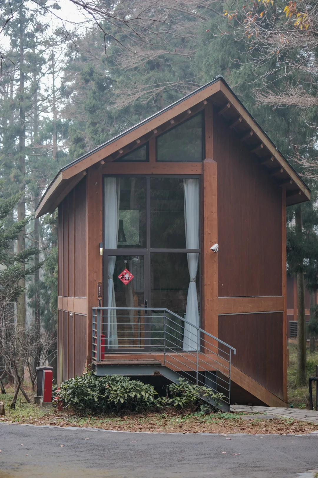 宁波，自然谧境，心归森野✧*｡🌳🌳🌳