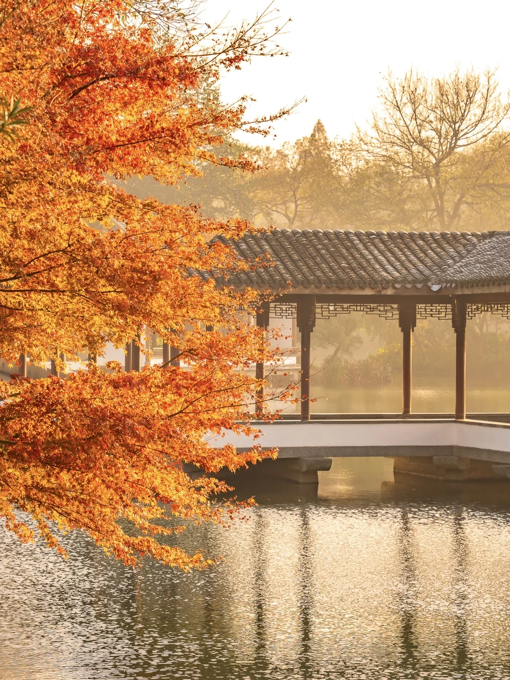 紧邻西湖‼️本地人都爱逛的小众赏秋公园!🍁