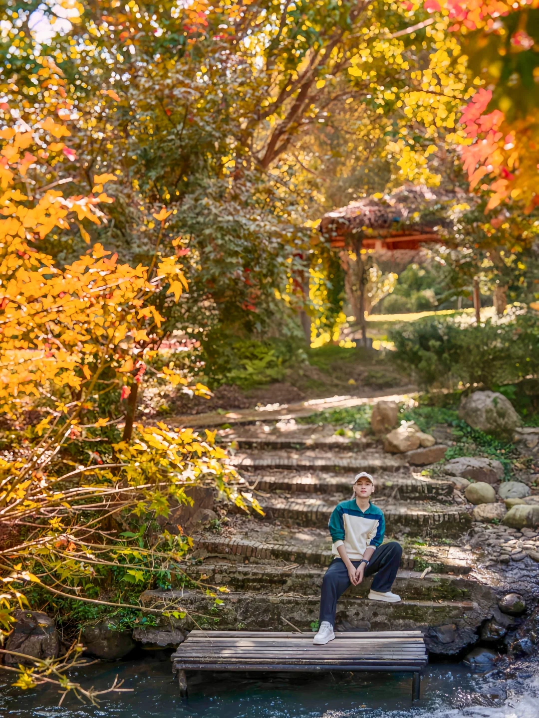 先出发再说｜分享5️⃣个在广州拍枫叶的宝藏地