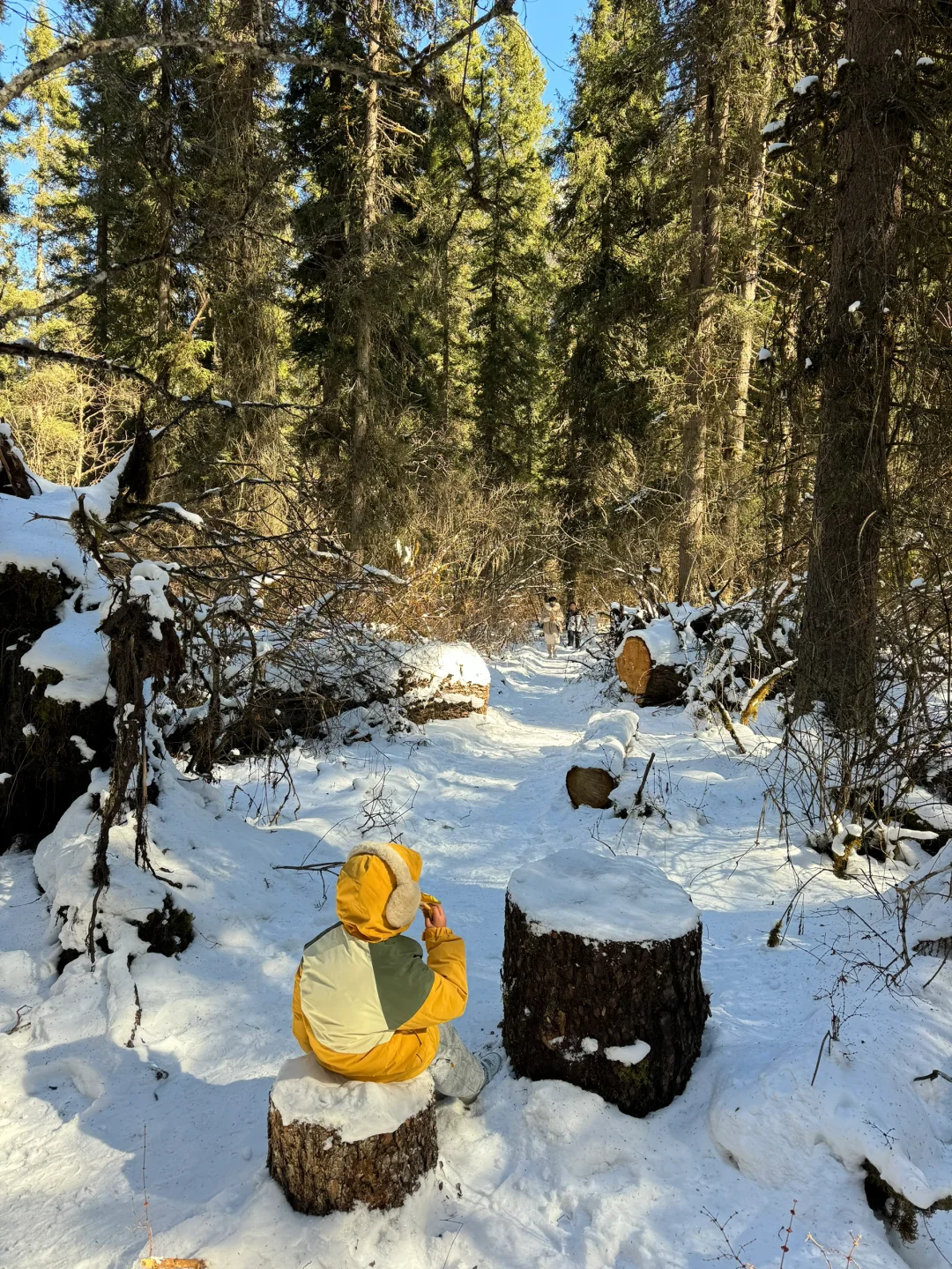 新路线‼️西安2天1夜🏔️北欧雪山森林度周末！