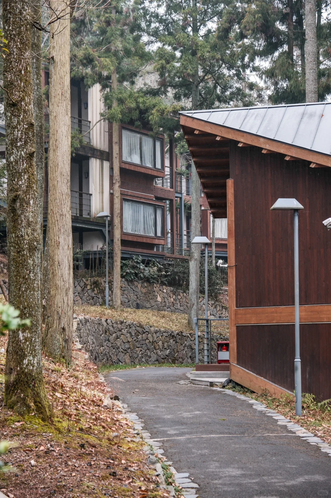 宁波，自然谧境，心归森野✧*｡🌳🌳🌳