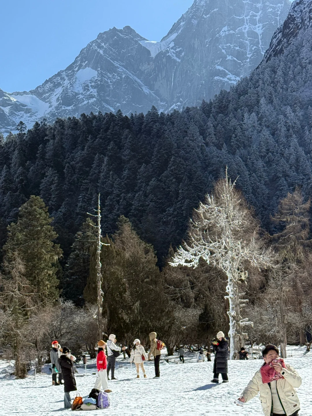 12.16📍毕棚沟live实拍!真的美的不像话…🥲