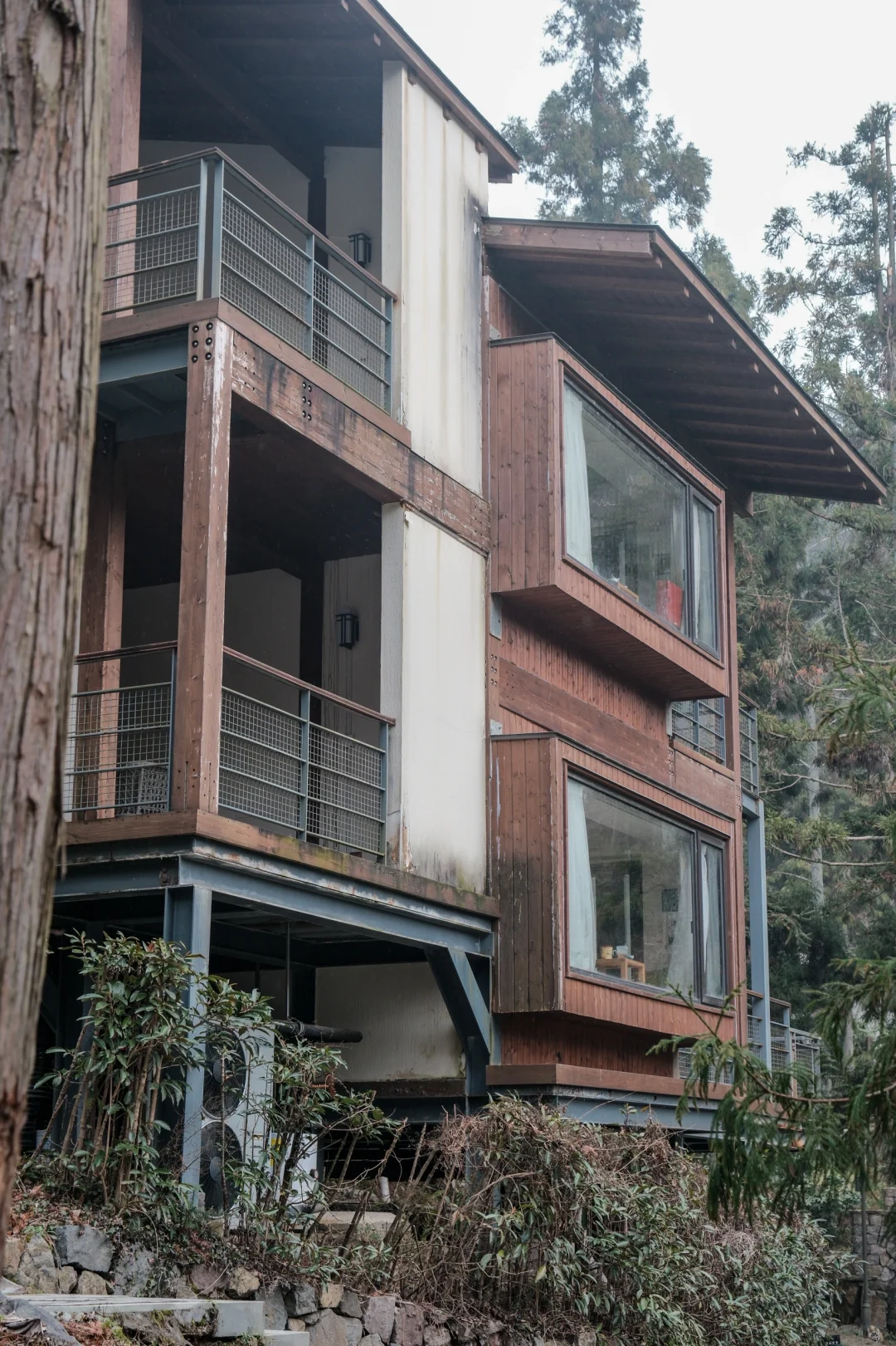 宁波，自然谧境，心归森野✧*｡🌳🌳🌳