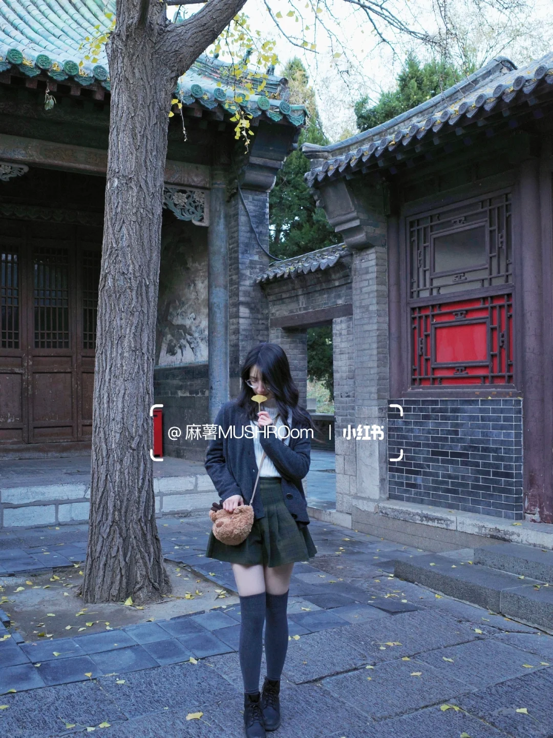 济南漫游收录｜冬日大明湖超出片🍂🍃