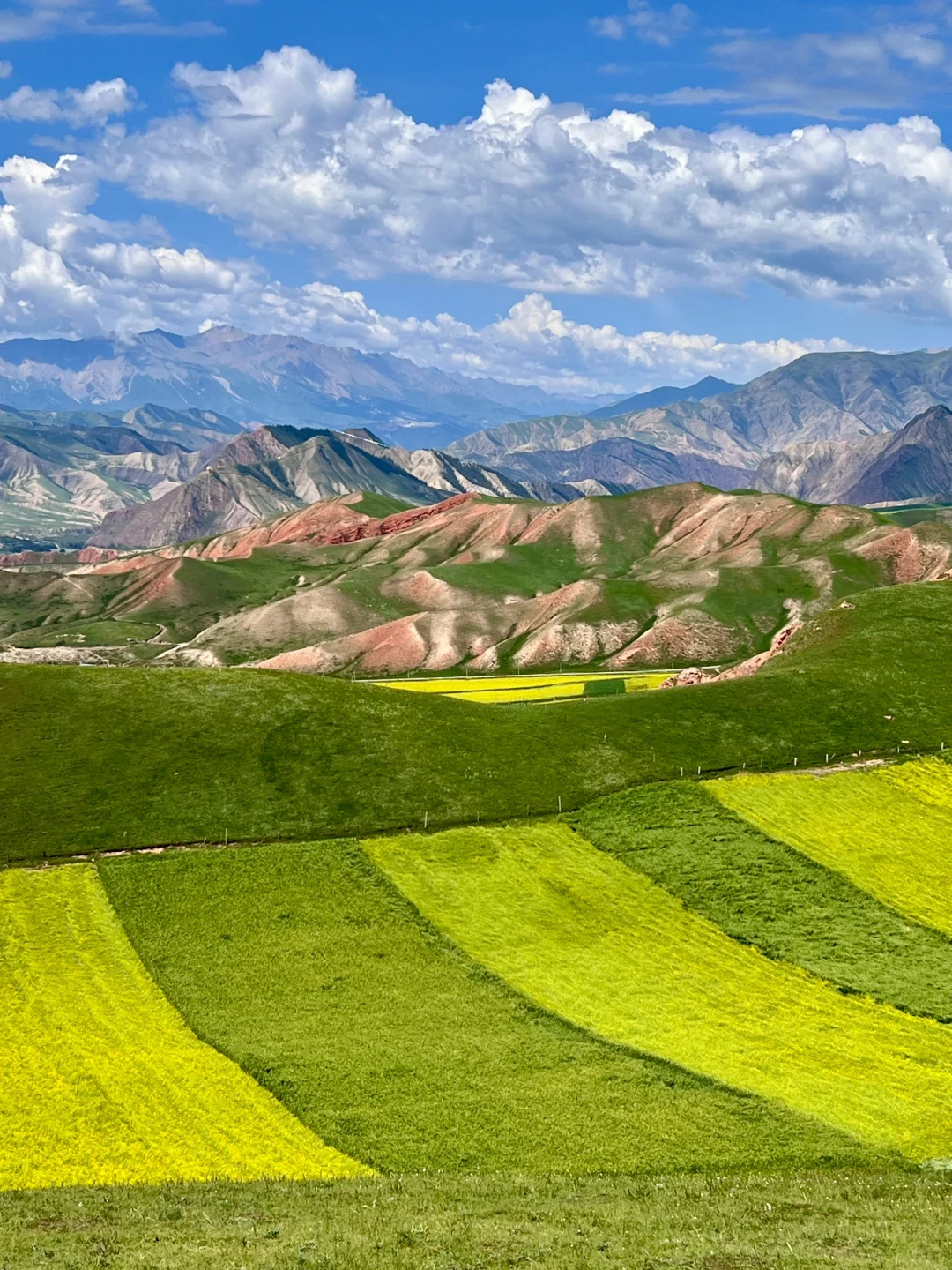 免费的才封神啊‼️青甘线的冷门景点卓尔后山