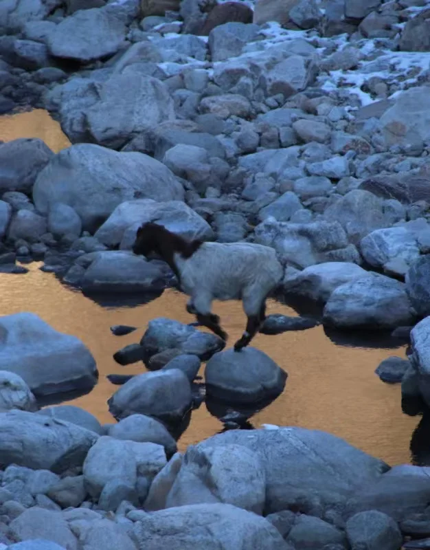 北京蕞大冰瀑已成型,上周探路实拍