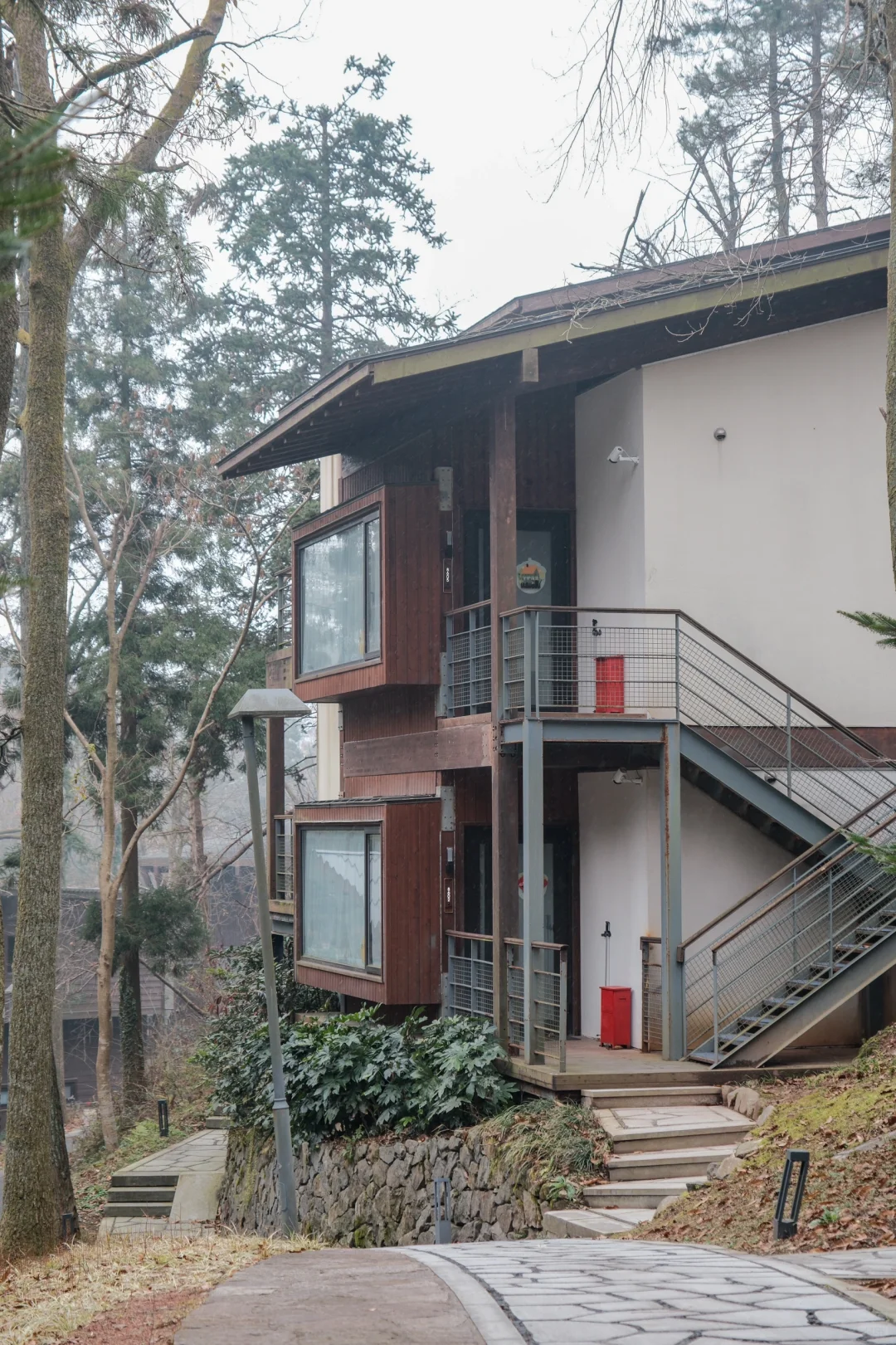 宁波，自然谧境，心归森野✧*｡🌳🌳🌳