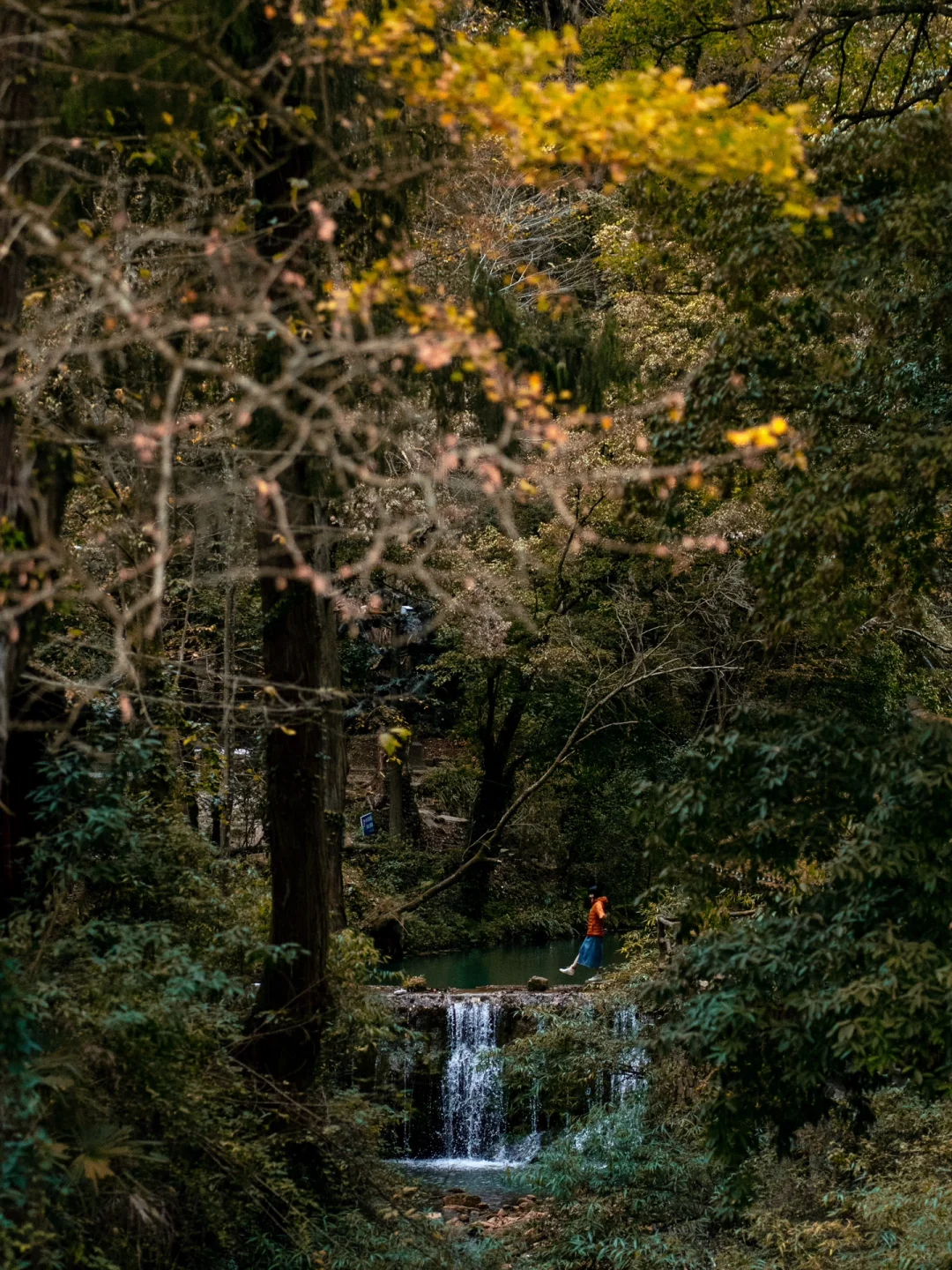 贵州怎么不宣传这里啊⁉️深山中的明代飞云崖