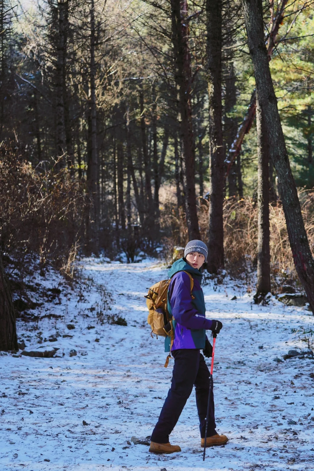 当日往返‼️成都周边🆓童话雪世界❄️附live图