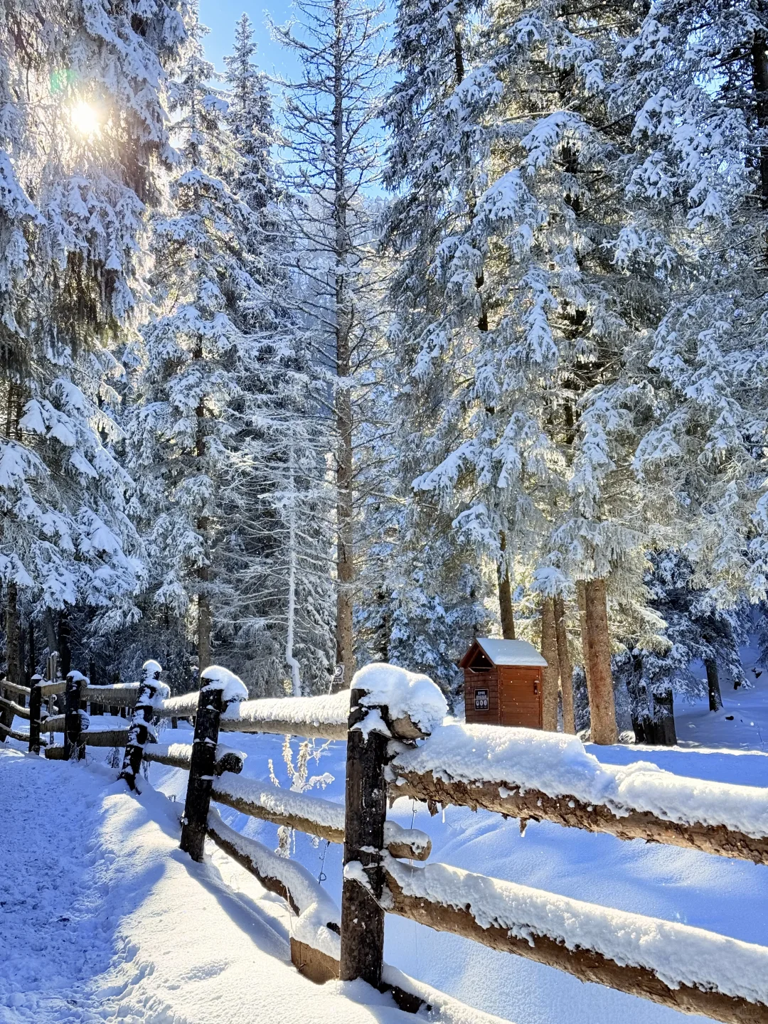 乌市周边游|1h车程的庙尔沟绝美蓝冰瀑布!