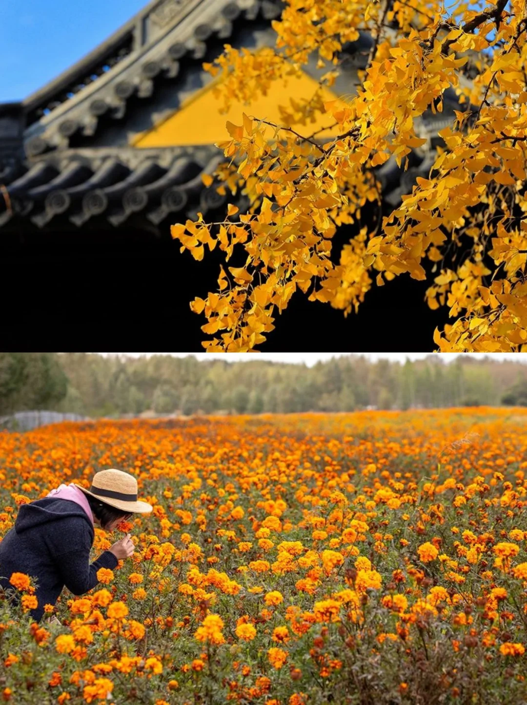 叫爸妈不要在家“秋”腊肉啦!出去耍~