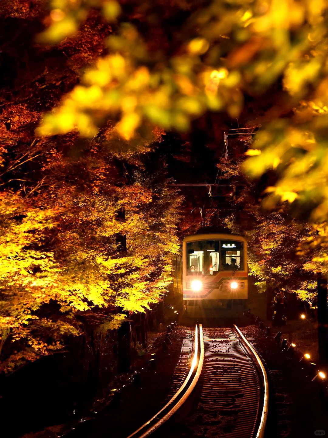 2024京都叡山电车赏枫｜景点路线+交通攻略