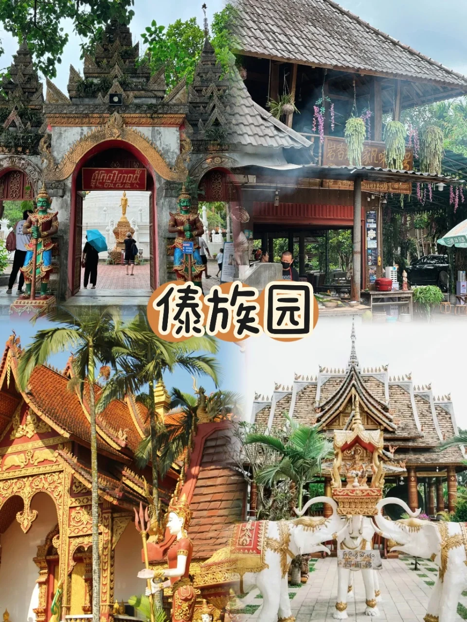 西双版纳5日游懒人版路线‼️不走冤枉路