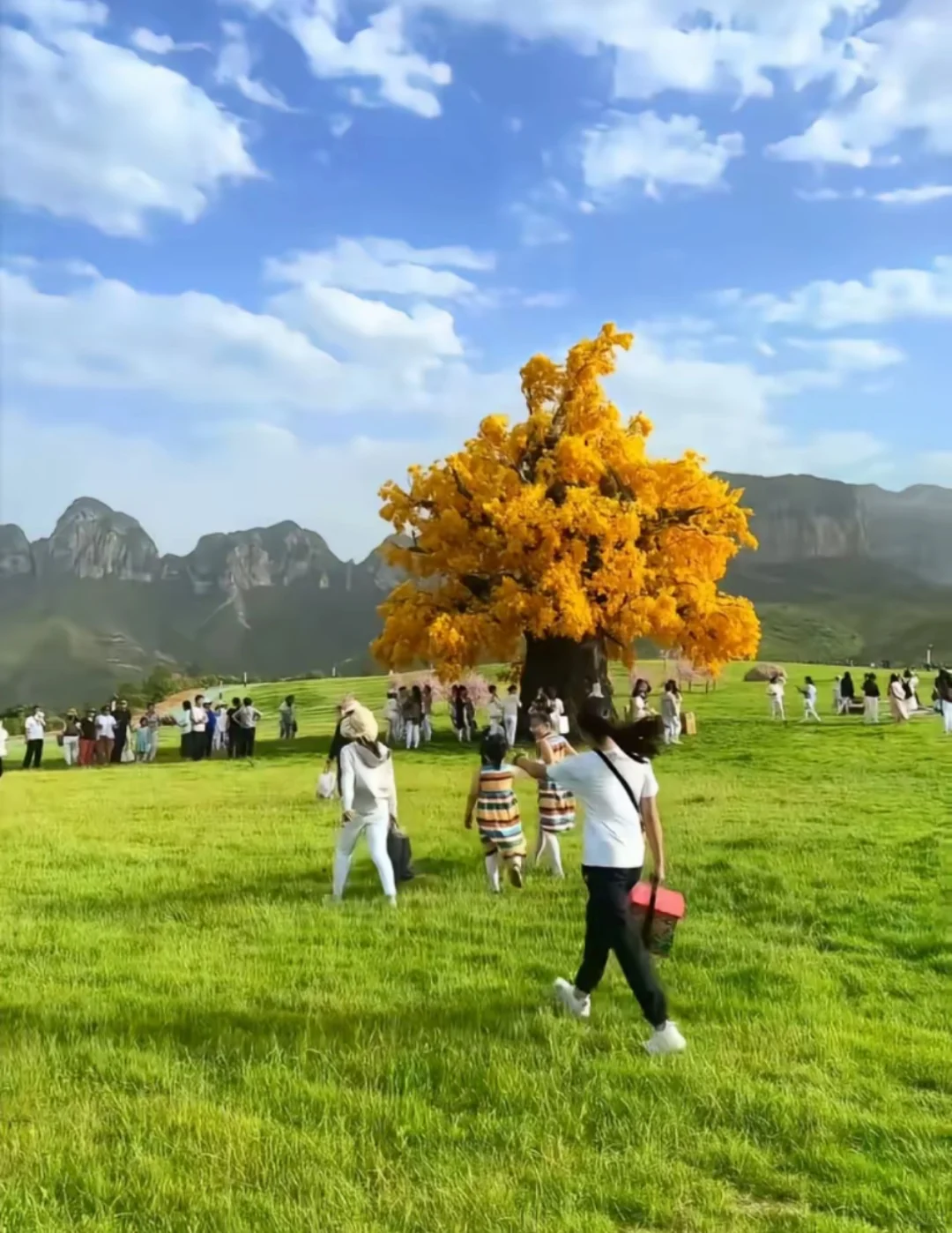 咱邯郸也有空中草原了！到涉县五指山一日游