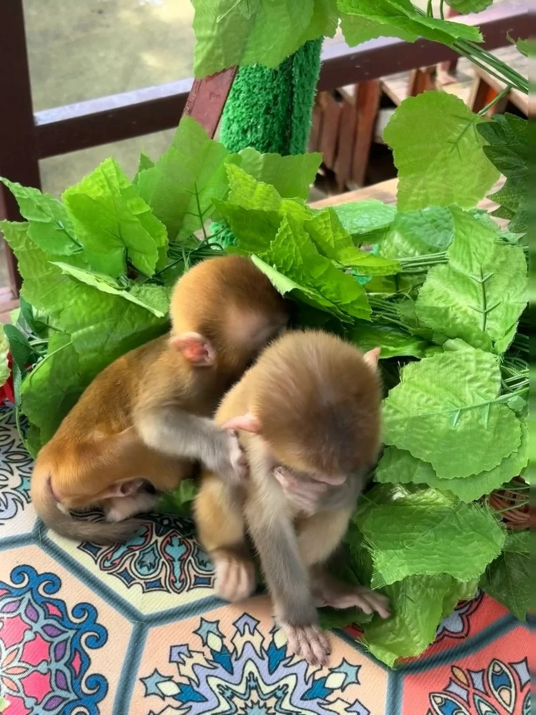 南昌1h直达🚗闯入江西版的马尔代夫群岛