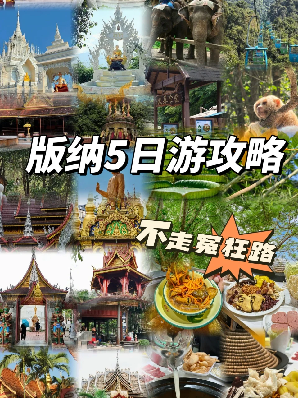 西双版纳5日游懒人版路线‼️不走冤枉路