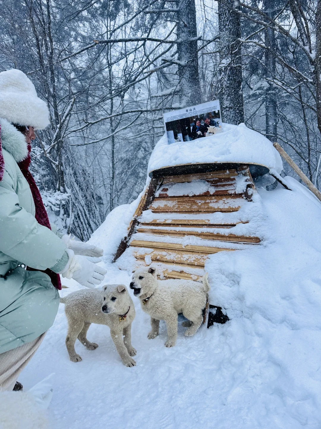 以为长白山天池已经够美了，直到我去了…