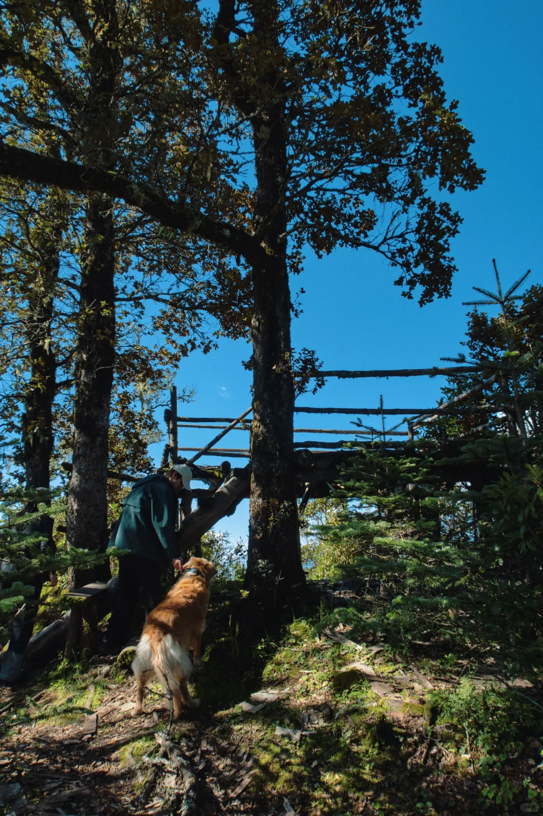 丽江秘境🌿波多罗