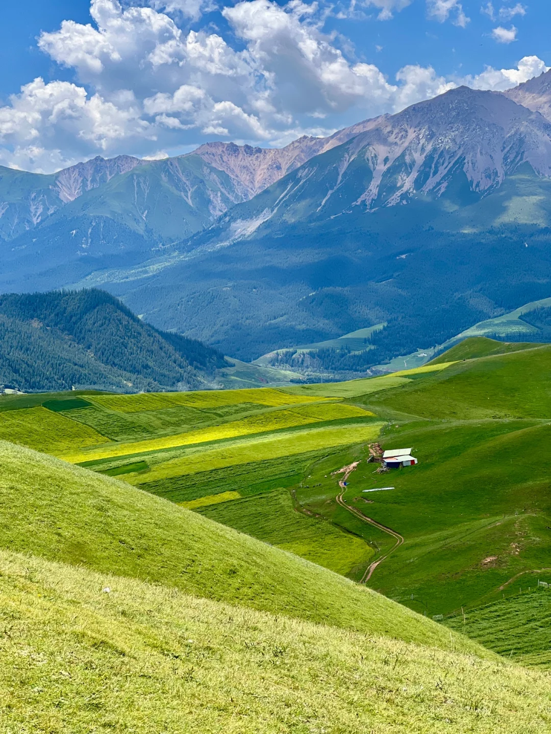 免费的才封神啊‼️青甘线的冷门景点卓尔后山
