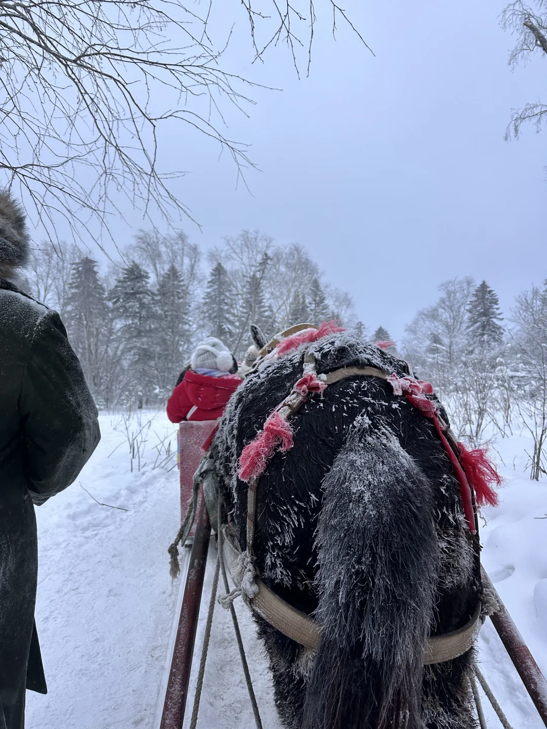 以为长白山天池已经够美了，直到我去了…