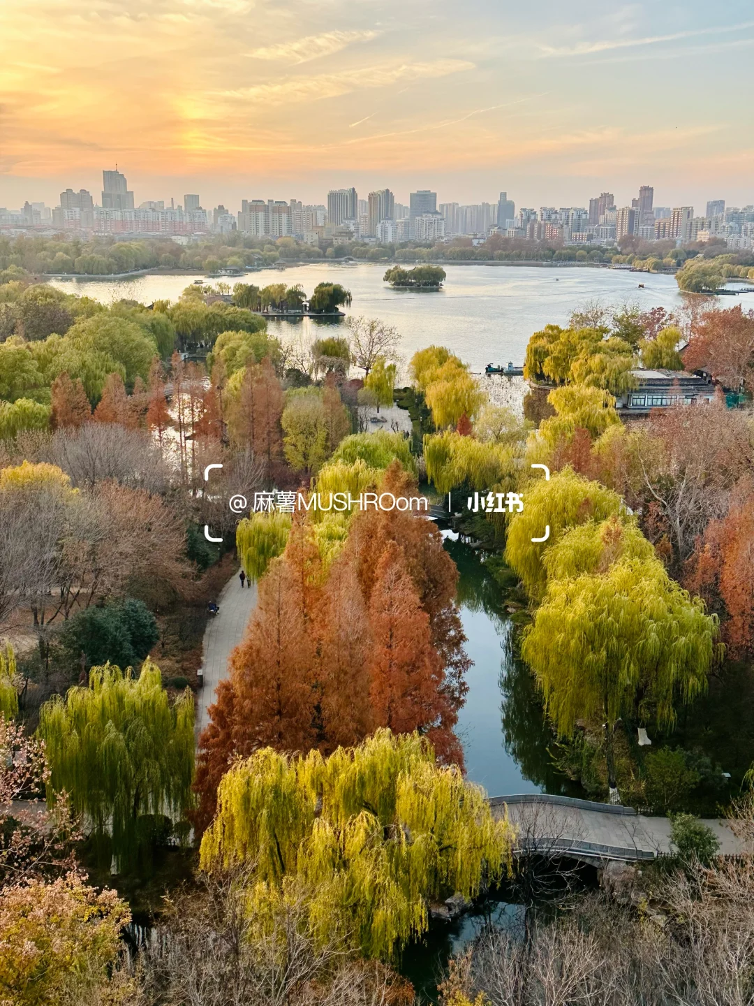 济南漫游收录｜冬日大明湖超出片🍂🍃